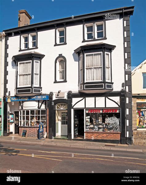 isle of wight fossil shops.